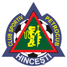 Petrocub Hîncești badge