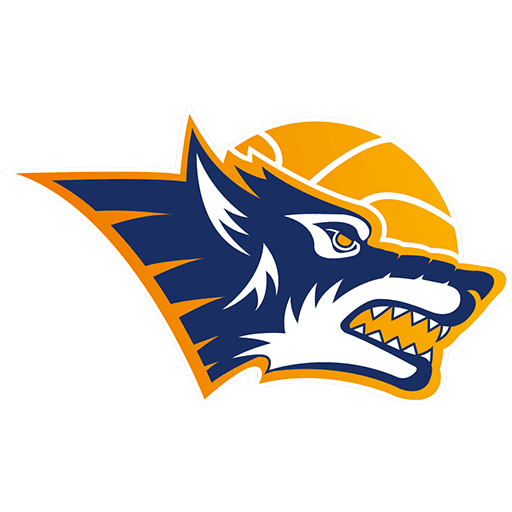 Rostock Seawolves