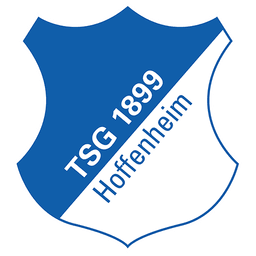 Hoffenheim badge