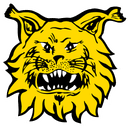 Ilves
