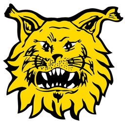 Ilves badge
