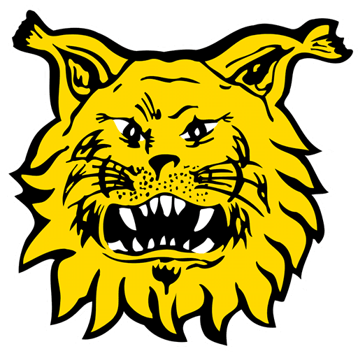 Ilves