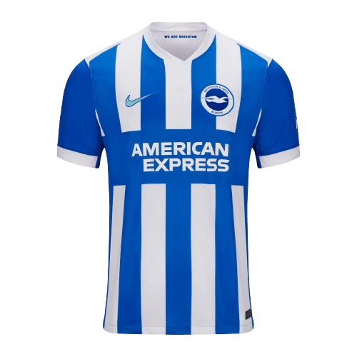Brighton and Hove Albion Home
