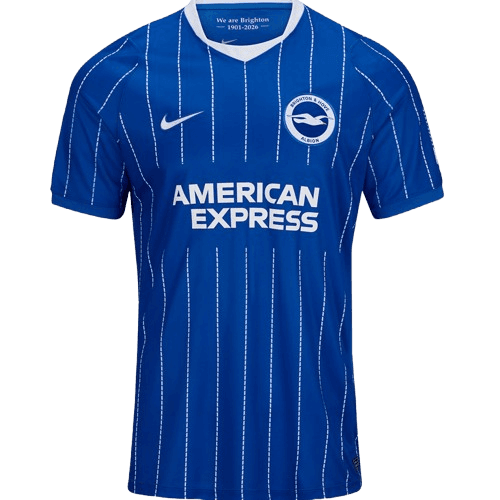 Brighton and Hove Albion Home