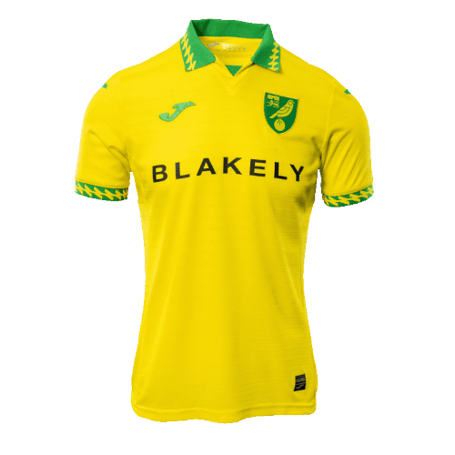 Norwich City Heim