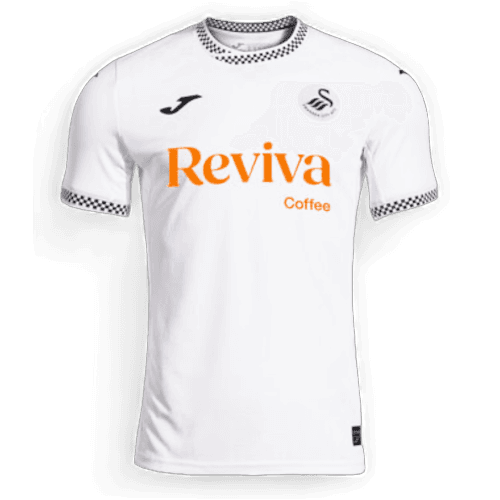 Swansea City Heim