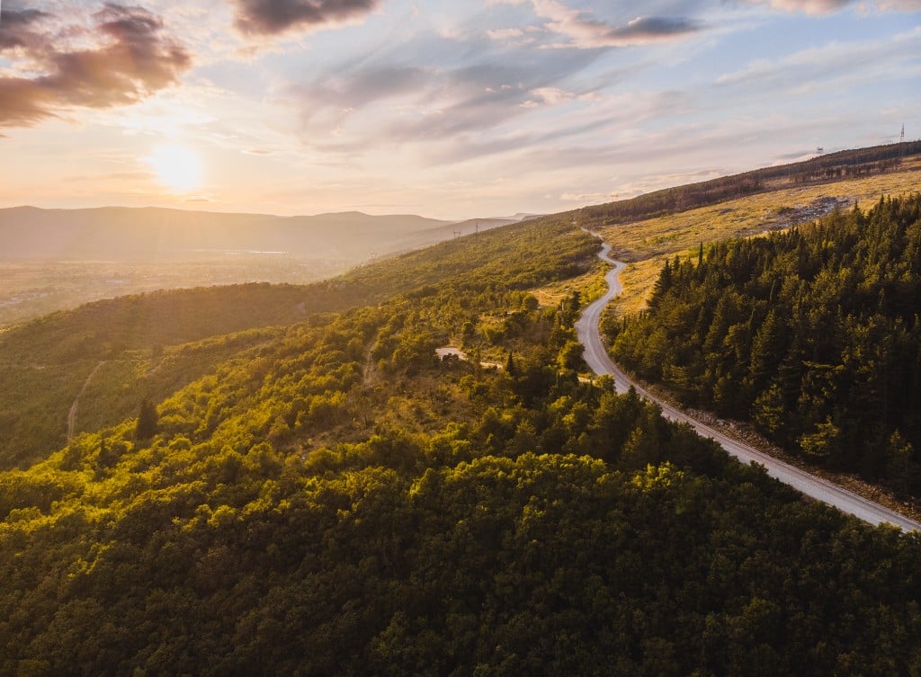 Scenic road through nature